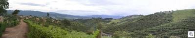 IMG_4946-Panoramic