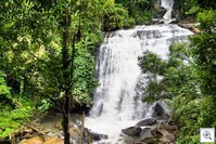 Vachiratha Waterfall